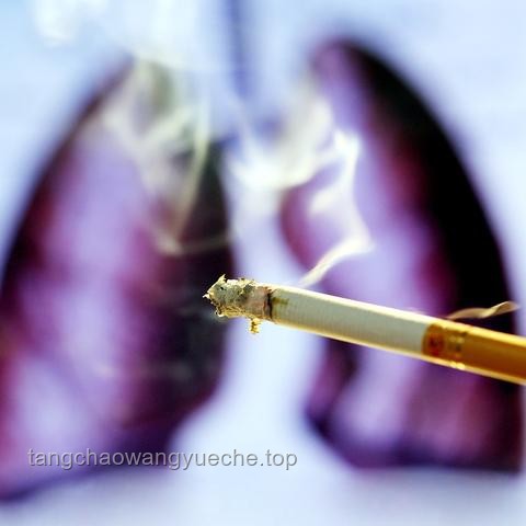 困在办公室二手烟中的职场人：如何守护你的呼吸健康